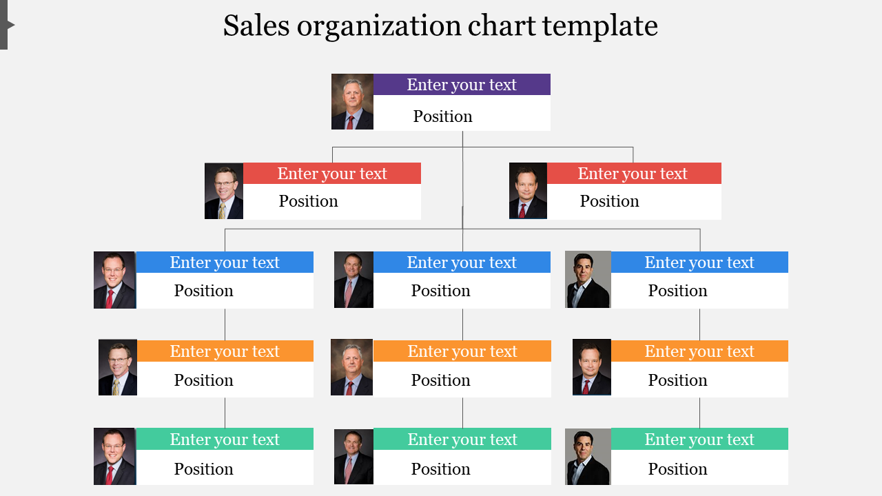 Professional sales organization chart template Presentation